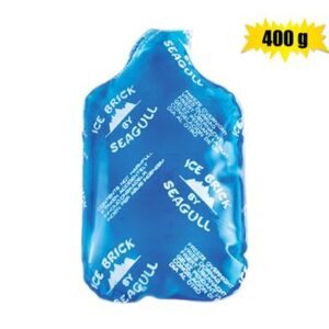 Ice-brick pl clear medium 400g