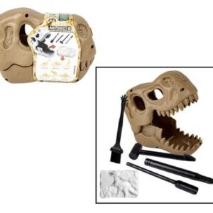 Edu excavation dinosaur fossil in skull